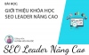 SEO Leader Nâng Cao