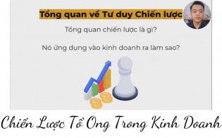 Tư Duy Chiến Lược Ứng Dụng Trong Kinh Doanh - Chiến Lược Tổ Ong